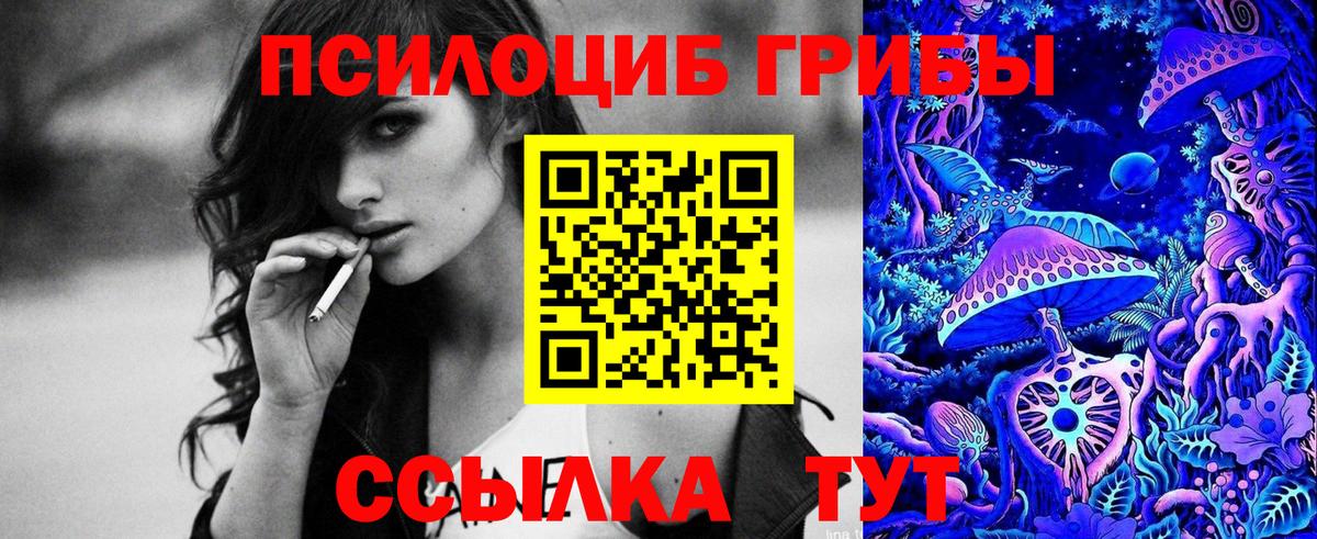 Псилоцибиновые грибы Psilocybine cubensis Сердобск
