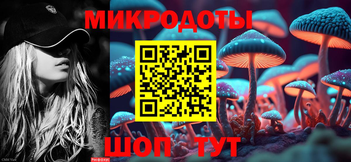Сердобск  Псилоцибиновые грибы прущие грибы  Вход с VPN 